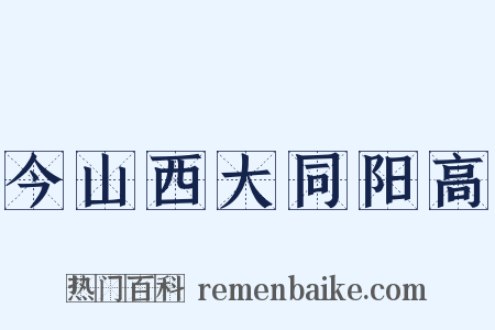 今山西大同阳高是什么意思的图片